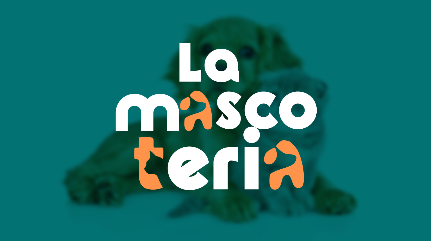 la Mascoteria